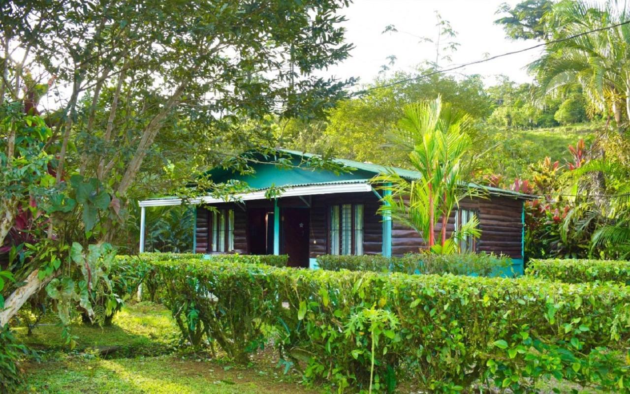 Cabinas Rio Celeste La Amistad Bed & Breakfast Exterior photo