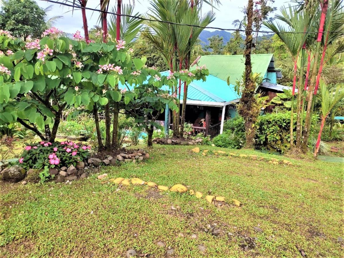 Cabinas Rio Celeste La Amistad Bed & Breakfast Exterior photo