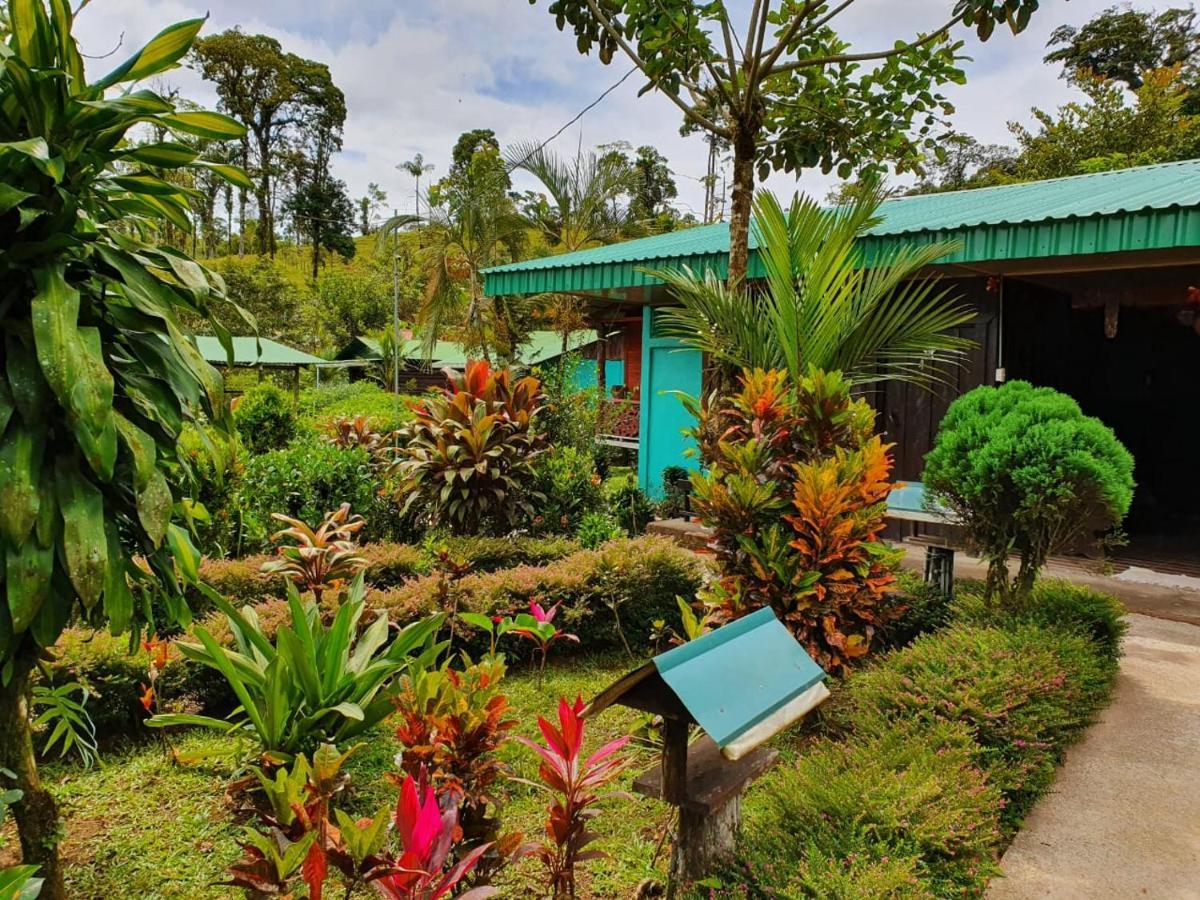 Cabinas Rio Celeste La Amistad Bed & Breakfast Exterior photo