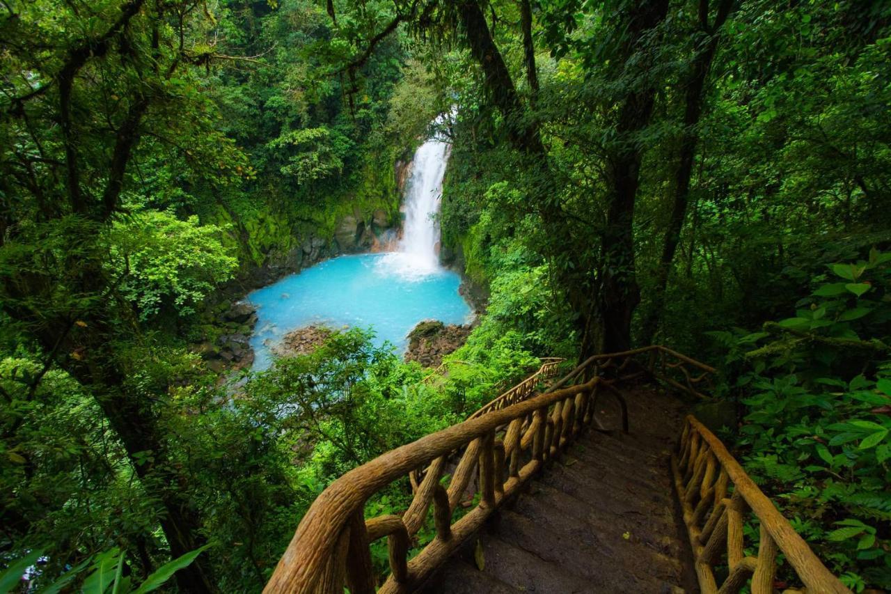 Cabinas Rio Celeste La Amistad Bed & Breakfast Exterior photo