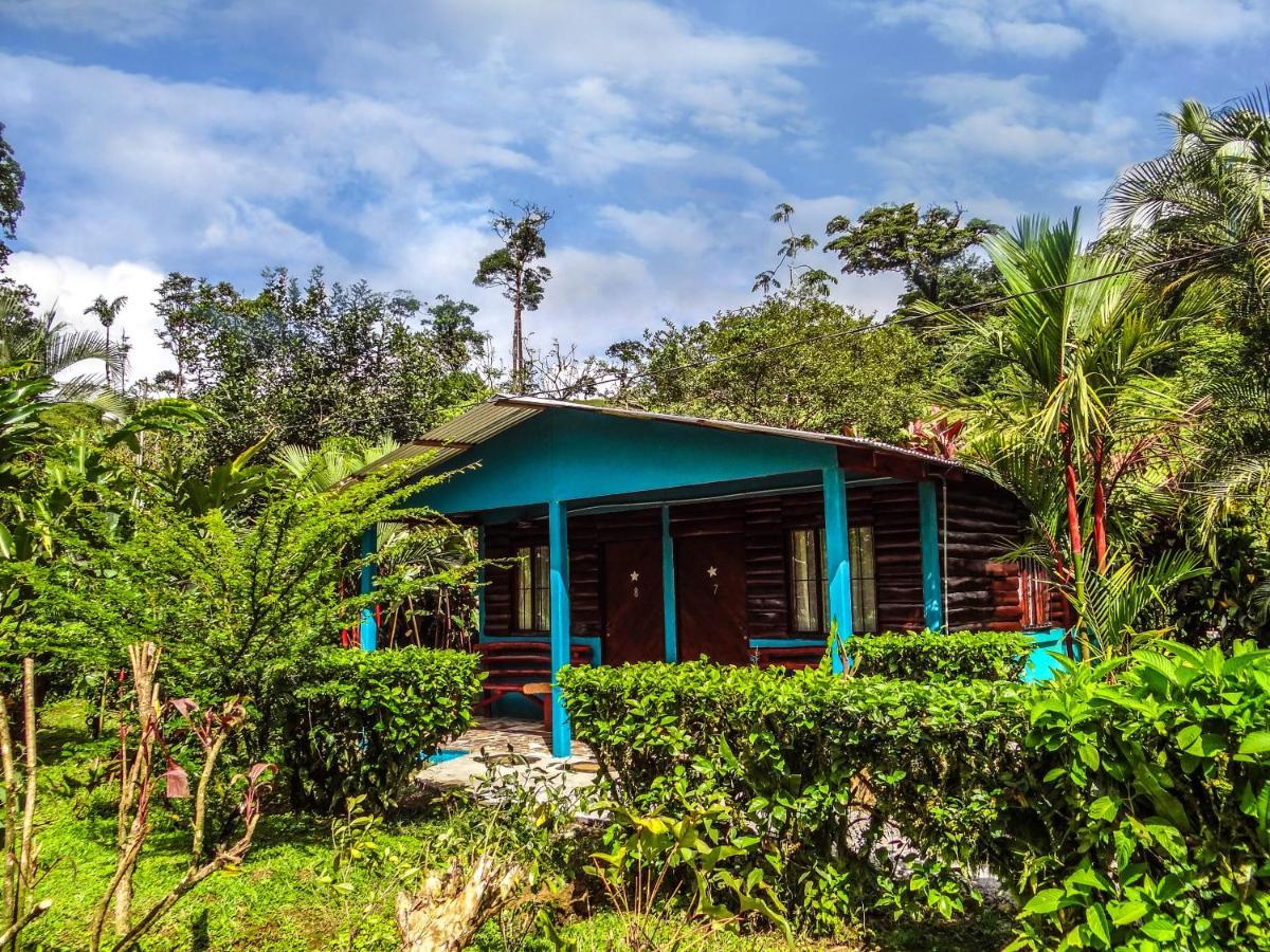 Cabinas Rio Celeste La Amistad Bed & Breakfast Exterior photo