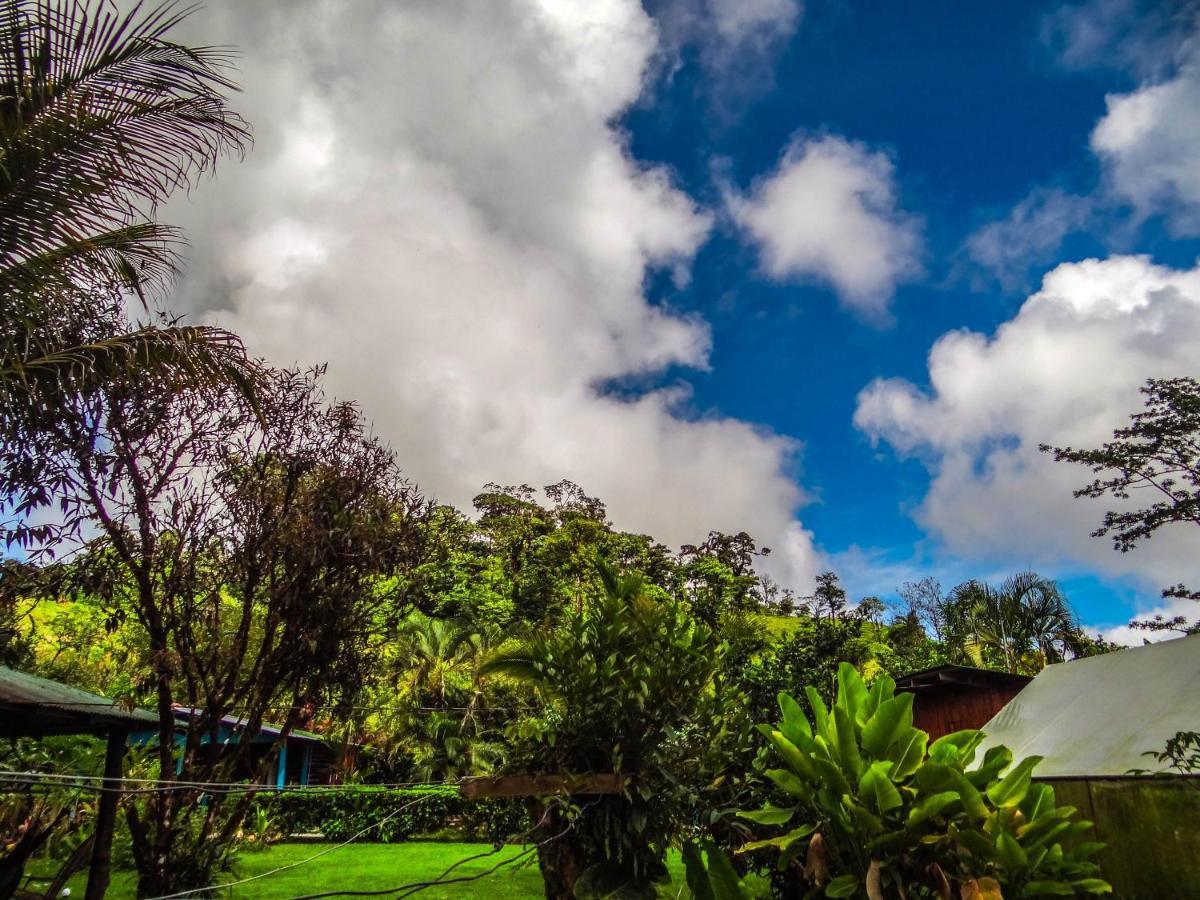 Cabinas Rio Celeste La Amistad Bed & Breakfast Exterior photo