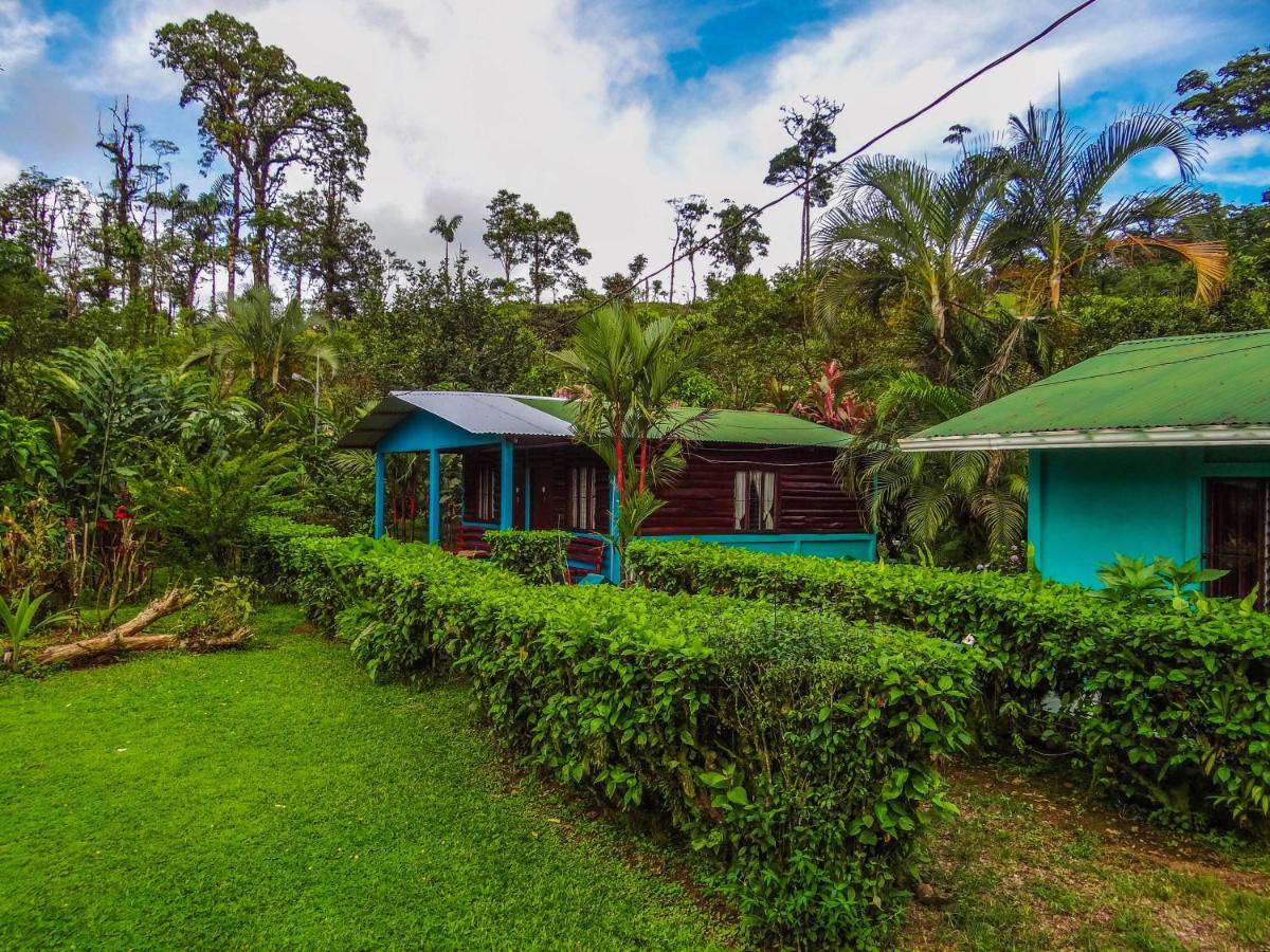 Cabinas Rio Celeste La Amistad Bed & Breakfast Exterior photo