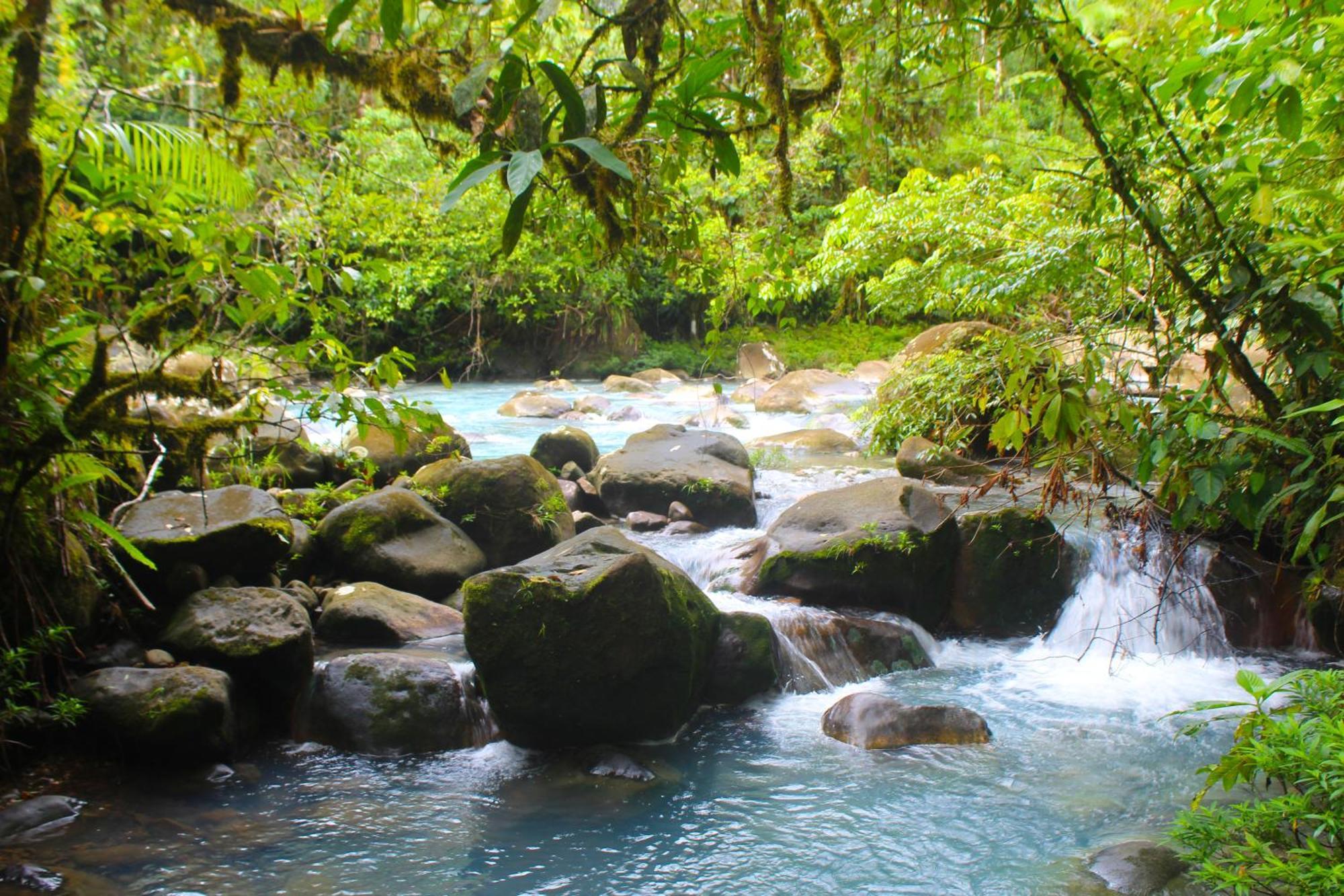 Cabinas Rio Celeste La Amistad Bed & Breakfast Exterior photo