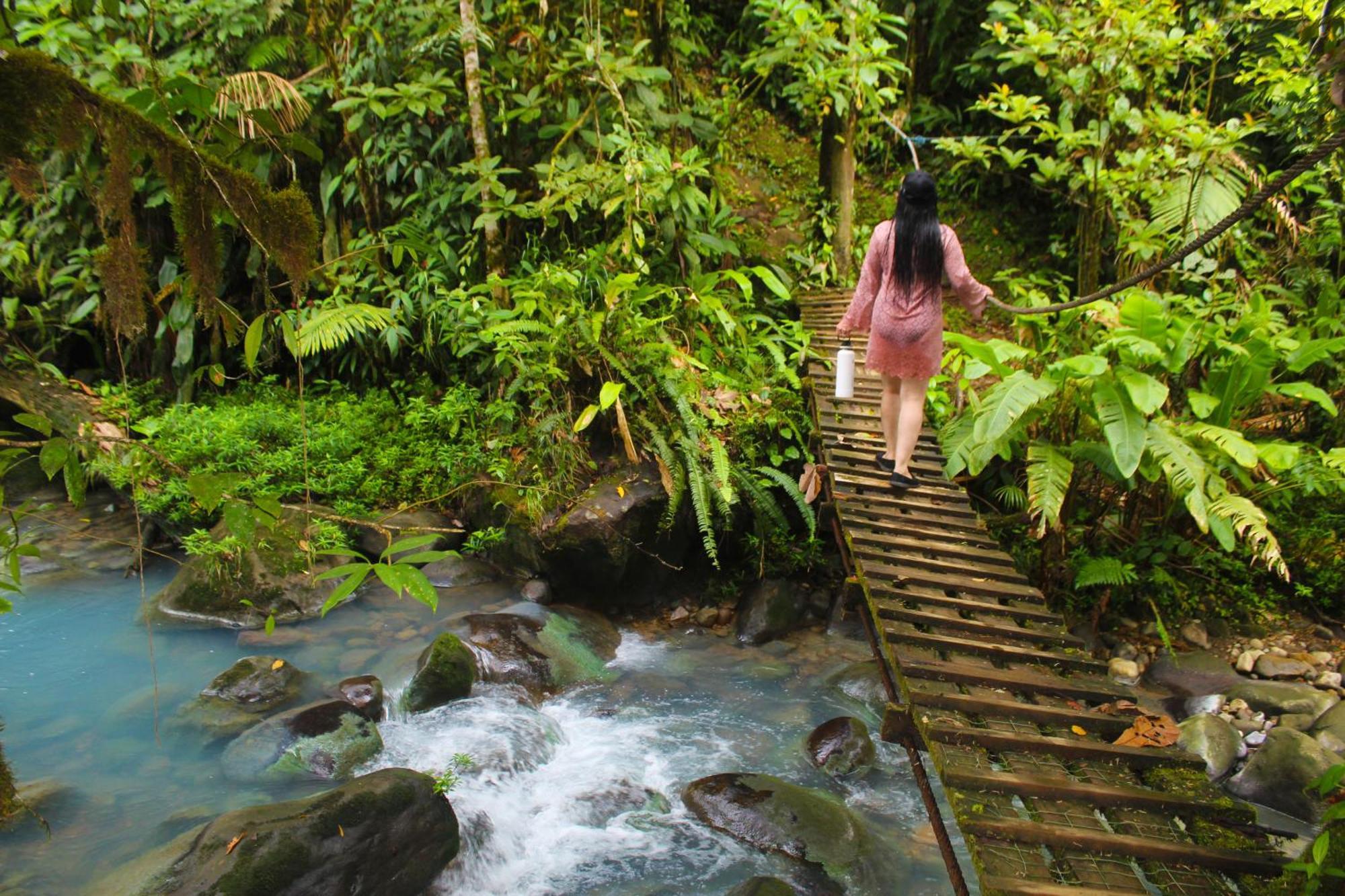 Cabinas Rio Celeste La Amistad Bed & Breakfast Exterior photo