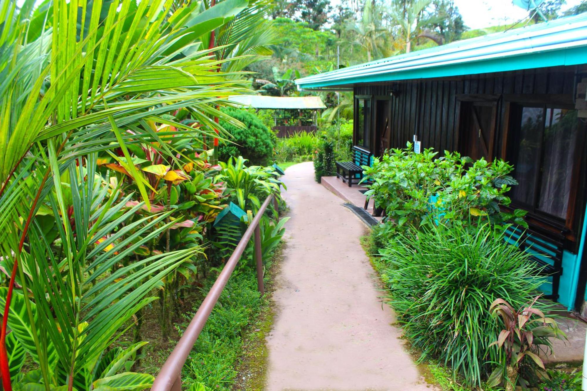 Cabinas Rio Celeste La Amistad Bed & Breakfast Exterior photo