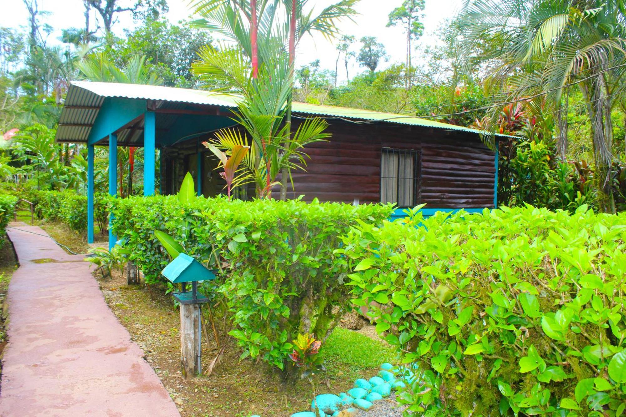 Cabinas Rio Celeste La Amistad Bed & Breakfast Exterior photo